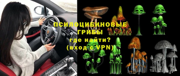 спиды Абаза