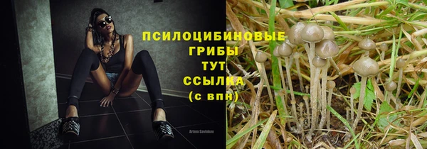 mix Нязепетровск
